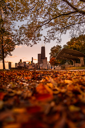 Autumn Blanket in Chicago