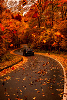 Drive Through Autumn