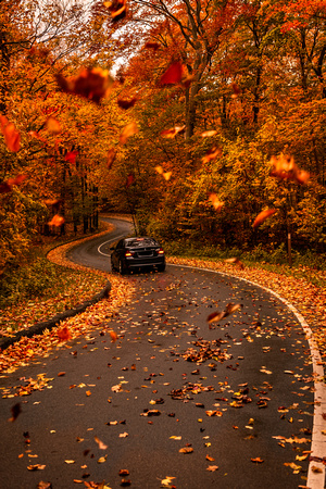 Drive Through Autumn