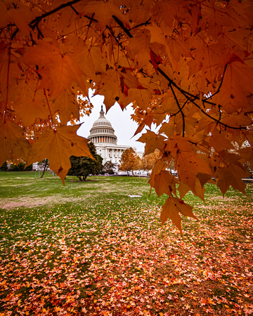 Autumn in Washington